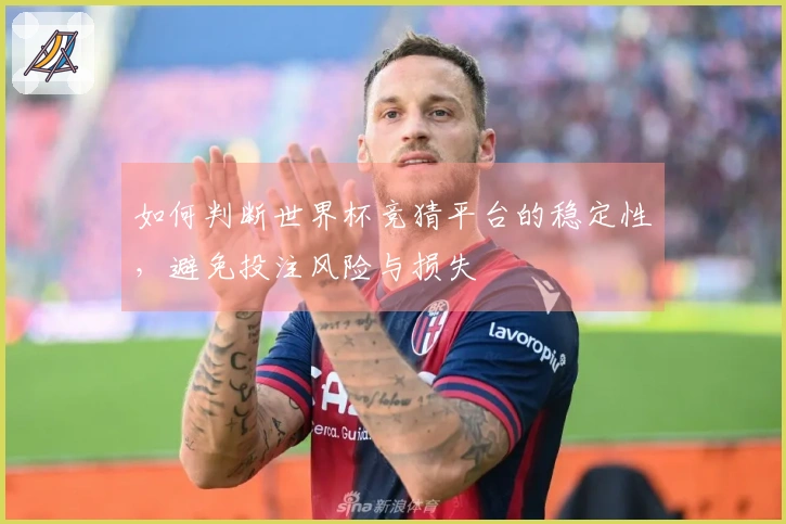 如何判断世界杯竞猜平台的稳定性，避免投注风险与损失