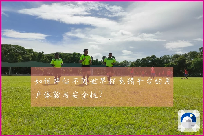 如何评估不同世界杯竞猜平台的用户体验与安全性？