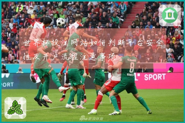 世界杯投注网站如何判断平台安全性及开户流程注意事项