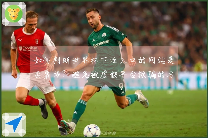 如何判断世界杯下注入口的网站是否靠谱？避免被虚假平台欺骗的方法有哪些？