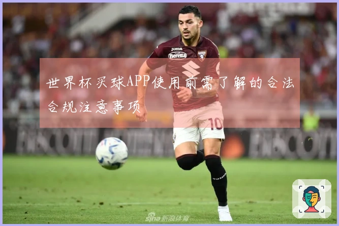 世界杯买球APP使用前需了解的合法合规注意事项