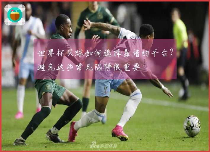 世界杯买球如何选择靠谱的平台？避免这些常见陷阱很重要