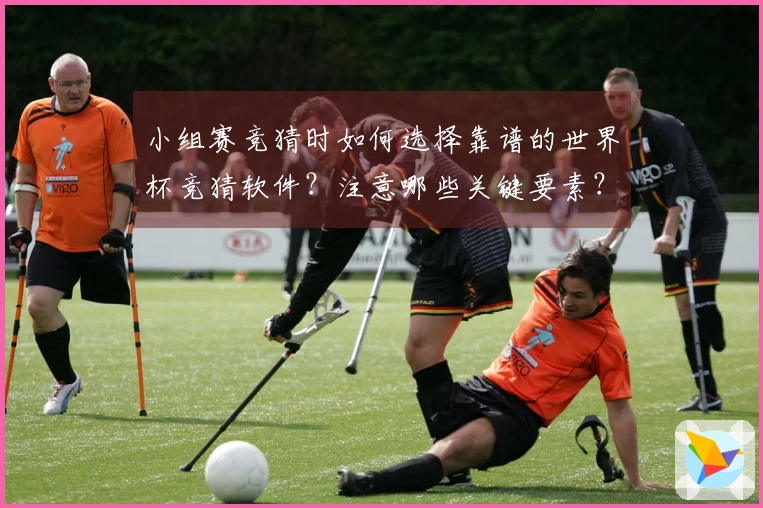 小组赛竞猜时如何选择靠谱的世界杯竞猜软件？注意哪些关键要素？