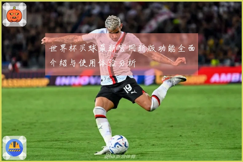 世界杯买球最新官网新版功能全面介绍与使用体验分析