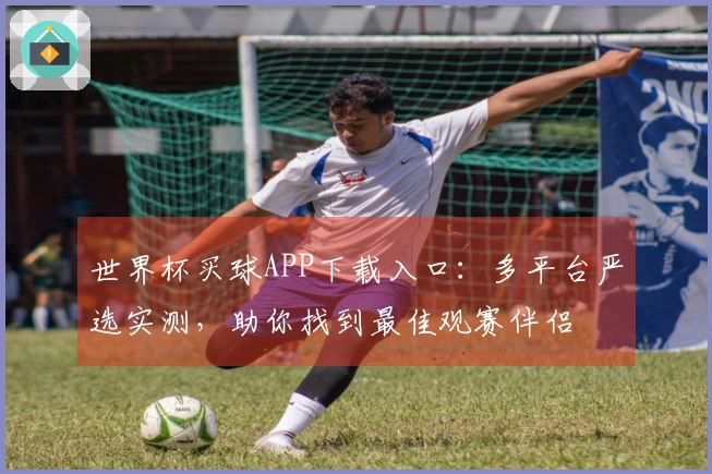 世界杯买球APP下载入口：多平台严选实测，助你找到最佳观赛伴侣