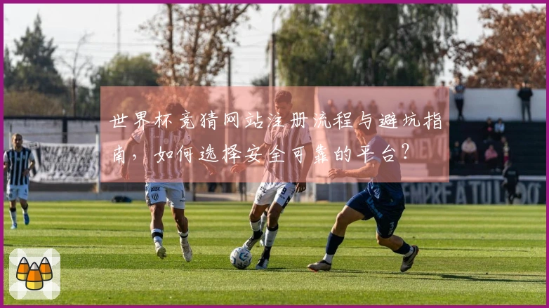 世界杯竞猜网站注册流程与避坑指南，如何选择安全可靠的平台？