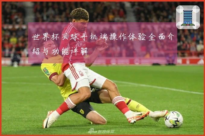 世界杯买球手机端操作体验全面介绍与功能详解
