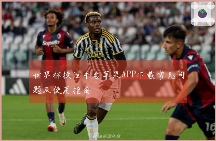 世界杯投注平台苹果APP下载常见问题及使用指南
