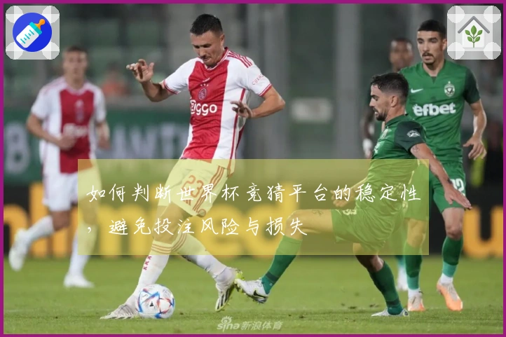 如何判断世界杯竞猜平台的稳定性，避免投注风险与损失