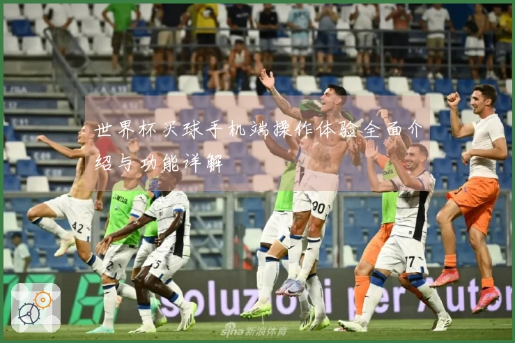 世界杯买球手机端操作体验全面介绍与功能详解