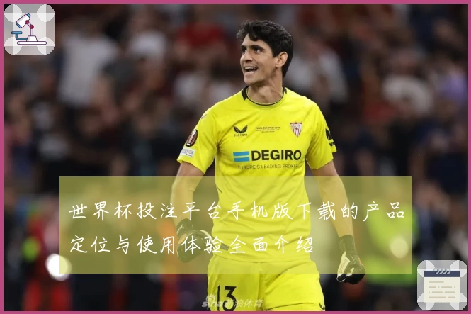 世界杯投注平台手机版下载的产品定位与使用体验全面介绍