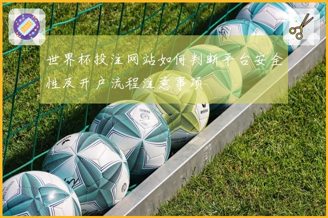 世界杯投注网站如何判断平台安全性及开户流程注意事项