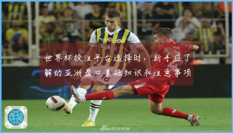 世界杯投注平台选择时，新手应了解的亚洲盘口基础知识和注意事项