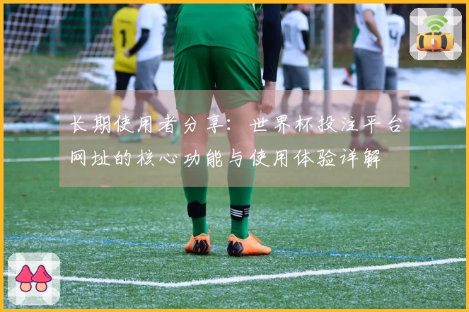 长期使用者分享：世界杯投注平台网址的核心功能与使用体验详解
