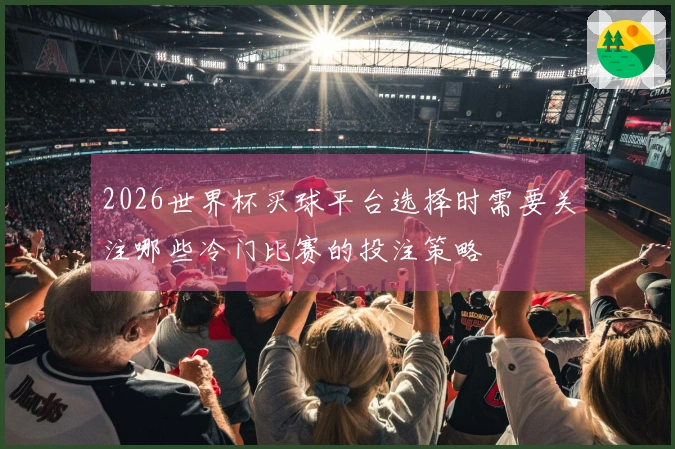2026世界杯买球平台选择时需要关注哪些冷门比赛的投注策略