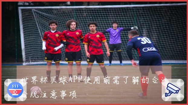 世界杯买球APP使用前需了解的合法合规注意事项