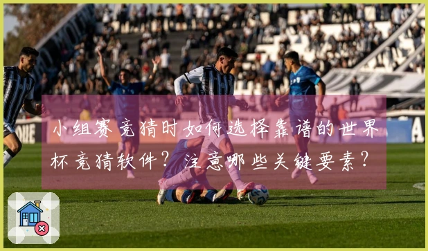 小组赛竞猜时如何选择靠谱的世界杯竞猜软件？注意哪些关键要素？